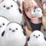 ヒメ日記 2025/02/14 20:07 投稿 にこ スピード日本橋店