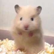 ヒメ日記 2025/02/15 16:47 投稿 にこ スピード日本橋店