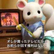 ヒメ日記 2025/11/06 11:47 投稿 にこ スピード日本橋店