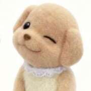 ヒメ日記 2025/11/09 02:37 投稿 にこ スピード日本橋店