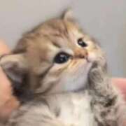 にこ にこ（スピード日本橋店） スピード日本橋店