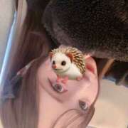 ヒメ日記 2025/12/20 15:47 投稿 にこ スピード日本橋店