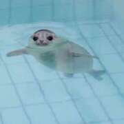 ヒメ日記 2025/12/31 22:18 投稿 にこ スピード日本橋店