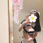 ヒメ日記 2026/07/16 13:37 投稿 にこ スピード日本橋店