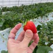 ヒメ日記 2025/04/02 09:44 投稿 もも 濃厚即19妻