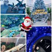 ヒメ日記 2024/12/14 16:25 投稿 京香 シャトーペトラ