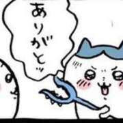 ヒメ日記 2025/06/28 00:24 投稿 れん アラビアンナイト