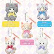 れん 🐈 アラビアンナイト