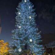 ヒメ日記 2024/12/12 21:46 投稿 浅田 鶯うぐ