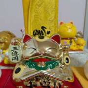 ヒメ日記 2024/12/14 00:00 投稿 浅田 鶯うぐ