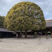 ヒメ日記 2025/02/06 12:18 投稿 浅田 鶯うぐ