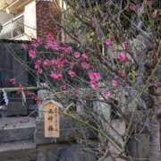 ヒメ日記 2025/02/11 11:08 投稿 浅田 鶯うぐ