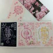 ヒメ日記 2025/03/05 19:20 投稿 浅田 鶯うぐ