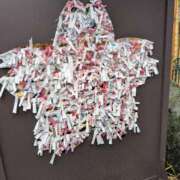 ヒメ日記 2025/03/21 12:24 投稿 浅田 鶯うぐ