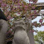 ヒメ日記 2025/04/11 12:06 投稿 浅田 鶯うぐ