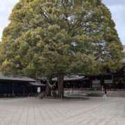 ヒメ日記 2025/05/03 20:20 投稿 浅田 鶯うぐ