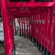 ヒメ日記 2025/05/17 23:40 投稿 浅田 鶯うぐ