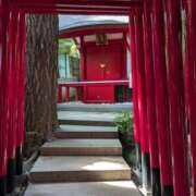 ヒメ日記 2025/05/24 20:52 投稿 浅田 鶯うぐ