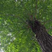 ヒメ日記 2025/05/28 23:10 投稿 浅田 鶯うぐ