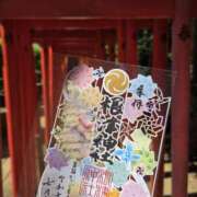 ヒメ日記 2025/07/26 21:18 投稿 浅田 鶯うぐ