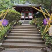 ヒメ日記 2025/08/07 23:22 投稿 浅田 鶯うぐ