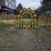 ヒメ日記 2025/08/16 20:44 投稿 浅田 鶯うぐ