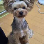 ヒメ日記 2025/10/30 12:24 投稿 浅田 鶯うぐ