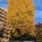 ヒメ日記 2025/11/20 11:22 投稿 浅田 鶯うぐ