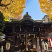 ヒメ日記 2025/12/01 13:30 投稿 浅田 鶯うぐ