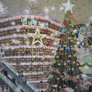 ヒメ日記 2025/12/19 12:14 投稿 浅田 鶯うぐ