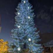 ヒメ日記 2025/12/23 13:50 投稿 浅田 鶯うぐ