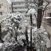 ヒメ日記 2026/02/08 12:08 投稿 浅田 鶯うぐ