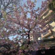 ヒメ日記 2026/03/01 12:02 投稿 浅田 鶯うぐ