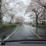 ヒメ日記 2026/04/05 12:22 投稿 浅田 鶯うぐ