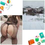 ヒメ日記 2025/03/05 08:36 投稿 高嶋 鶯うぐ