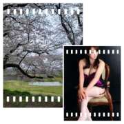 ヒメ日記 2025/04/04 18:18 投稿 高嶋 鶯うぐ