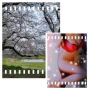 ヒメ日記 2025/04/09 13:42 投稿 高嶋 鶯うぐ