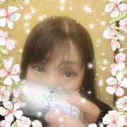 ヒメ日記 2025/04/19 15:16 投稿 高嶋 鶯うぐ