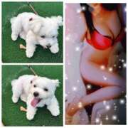 ヒメ日記 2025/10/17 09:26 投稿 高嶋 鶯うぐ