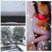 ヒメ日記 2026/02/09 10:12 投稿 高嶋 鶯うぐ