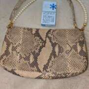 ヒメ日記 2024/12/14 13:04 投稿 谷口 鶯うぐ