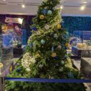 ヒメ日記 2024/12/18 21:18 投稿 谷口 鶯うぐ