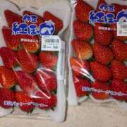 ヒメ日記 2025/02/05 16:36 投稿 谷口 鶯うぐ