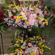 ヒメ日記 2025/02/07 06:44 投稿 谷口 鶯うぐ