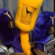 ヒメ日記 2025/02/07 19:32 投稿 谷口 鶯うぐ