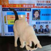 ヒメ日記 2025/02/08 21:12 投稿 谷口 鶯うぐ