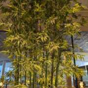 ヒメ日記 2025/02/13 21:16 投稿 谷口 鶯うぐ