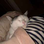 ヒメ日記 2025/02/16 14:10 投稿 谷口 鶯うぐ