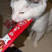 ヒメ日記 2025/02/16 21:16 投稿 谷口 鶯うぐ