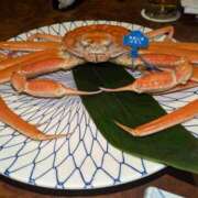 ヒメ日記 2025/02/21 22:44 投稿 谷口 鶯うぐ